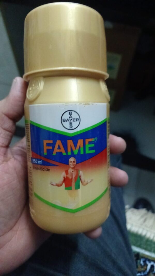 rmpcfame