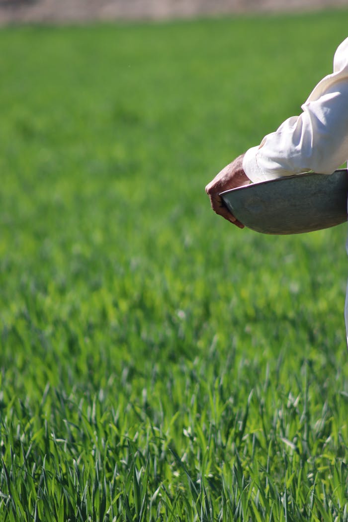 close-up-of-farmer-seeding-in-green-field-32938346