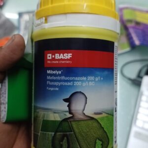 rmpcbasf