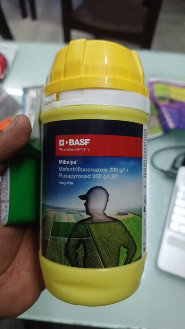 rmpcbasf