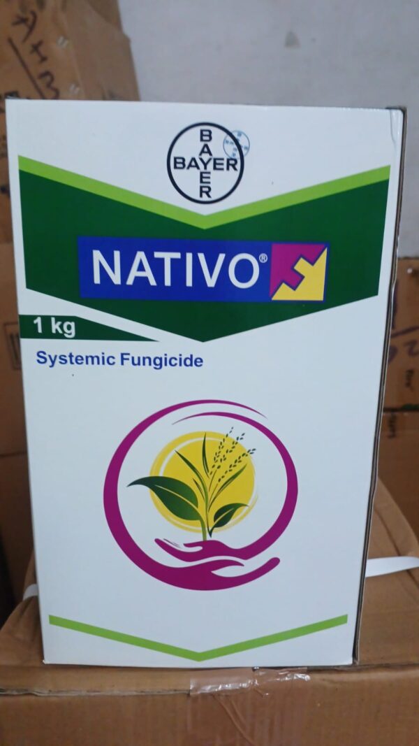Bayer Nativo | Tebuconazole 50% + Trifloxystrobin 25% WG | Systemic Fungicide | 1 Kg