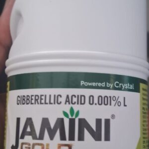 Saffire Jamini Gold