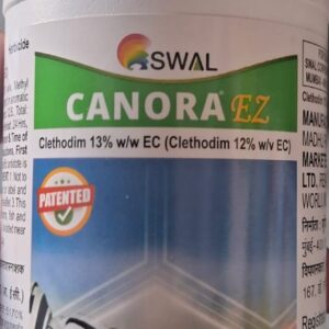 SWAL CANORA