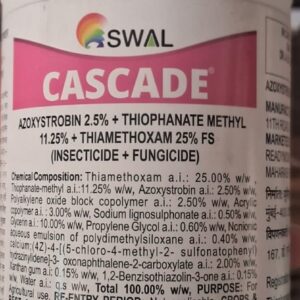 SWAL Cascade